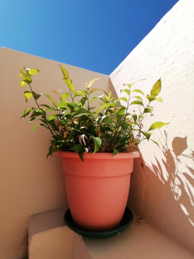 Apartamento Penha T3 파로 외부 사진